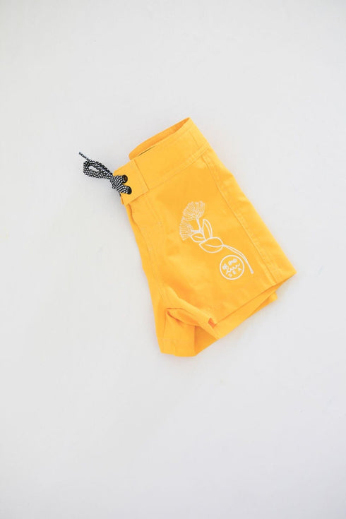 kid-s-townshorts-in-embroidered-ohia-flower-of-one-sea - Sophia's Style -2